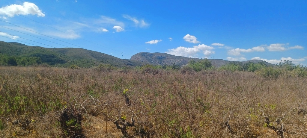 SE VENDE TERRENO CON PANORAMICAS VISTAS AL MAR 12.018m2
