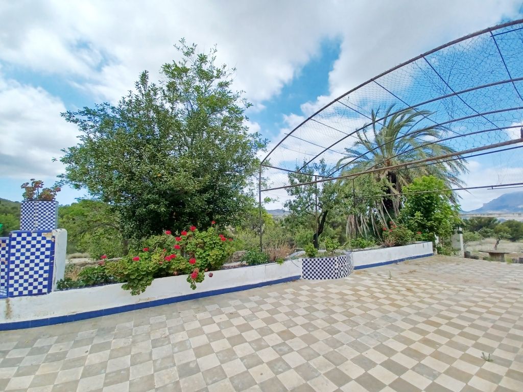 Se vende amplia finca rustica en Jijona