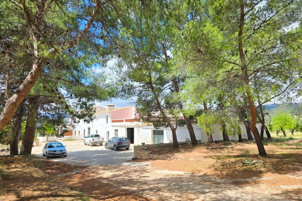 Se vende amplia finca rustica en Jijona