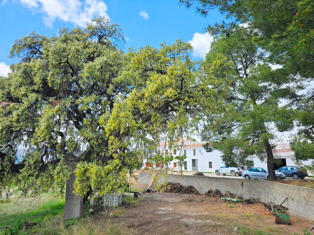Se vende amplia finca rustica en Jijona