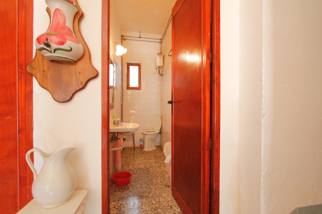 Se vende amplia finca rustica en Jijona
