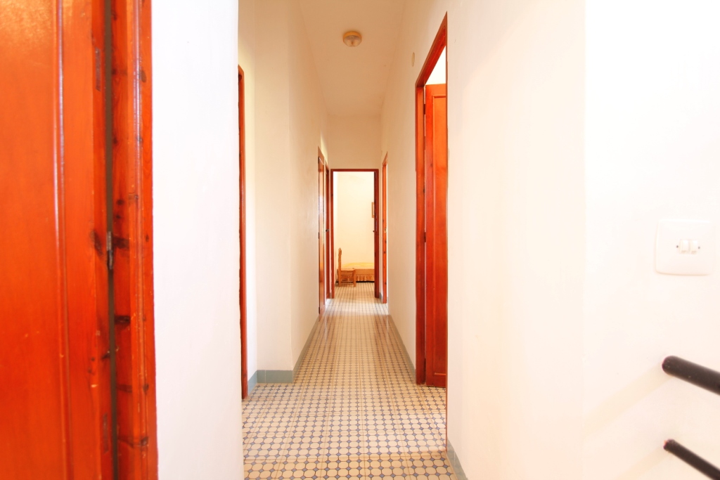 Se vende amplia finca rustica en Jijona