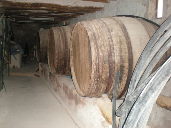 Se vende amplia finca rustica en Jijona