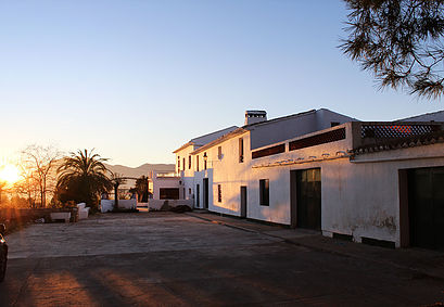Se vende amplia finca rustica en Jijona