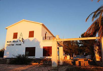 Se vende amplia finca rustica en Jijona