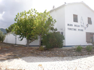 Se vende amplia finca rustica en Jijona