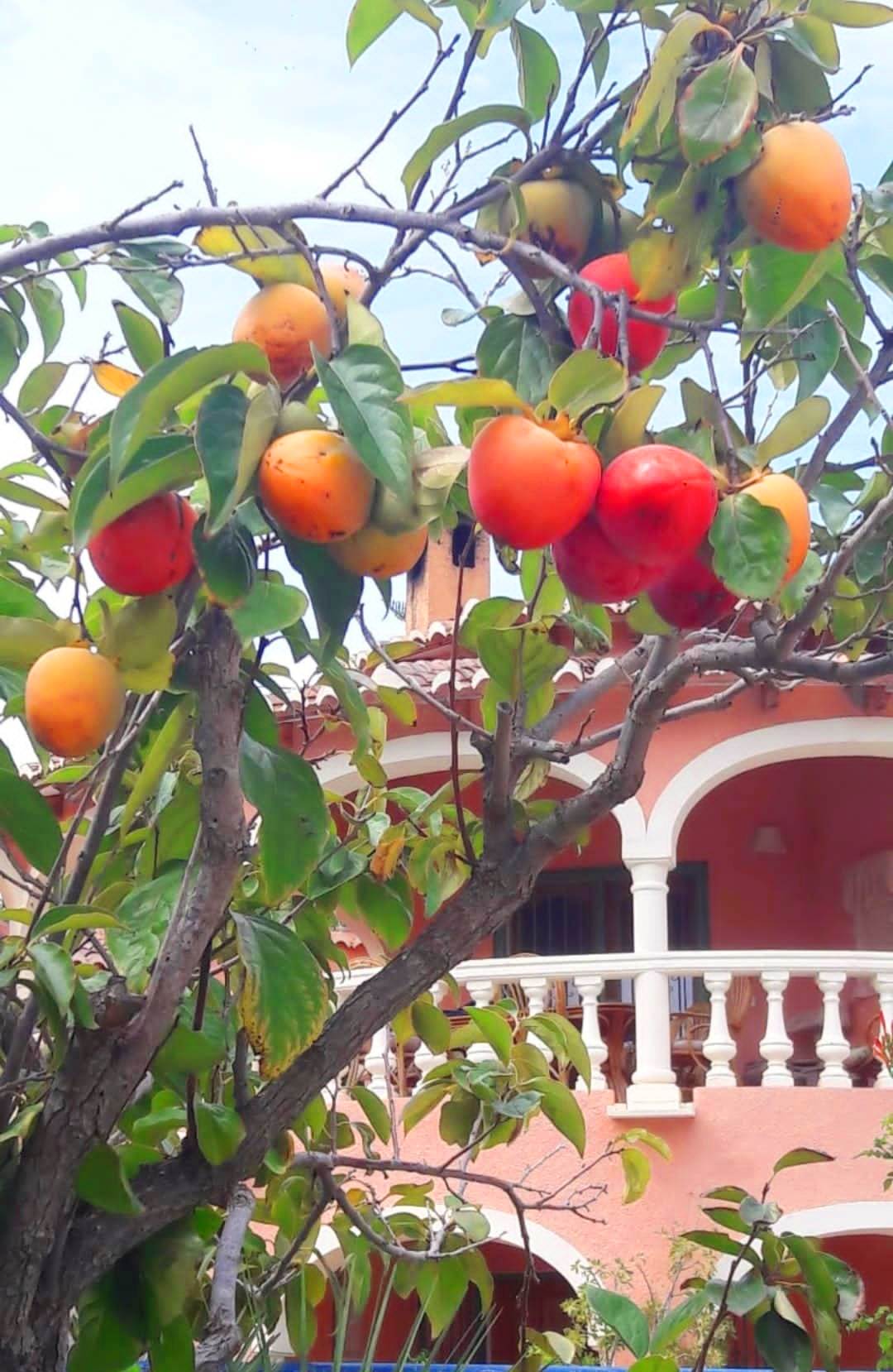 Se vende muy amplia villa con vistas al mar