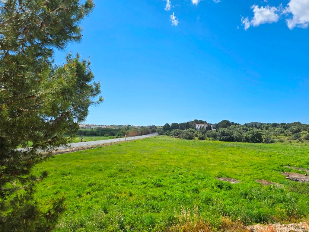 SE VENDE ESPACIOSA FINCA RUSTICA CON AMPLIO TERRENO cerca de todos los comunicaciones