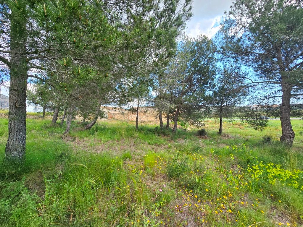 SE VENDE ESPACIOSA FINCA RUSTICA CON AMPLIO TERRENO cerca de todos los comunicaciones