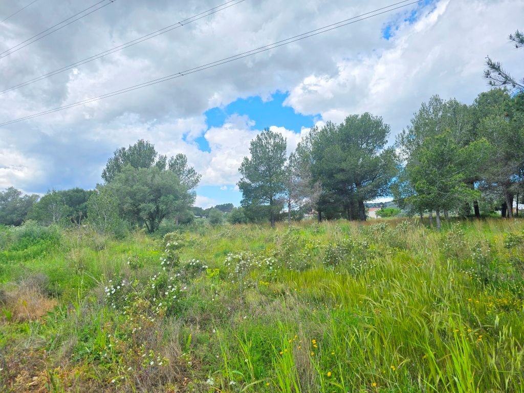 SE VENDE ESPACIOSA FINCA RUSTICA CON AMPLIO TERRENO cerca de todos los comunicaciones